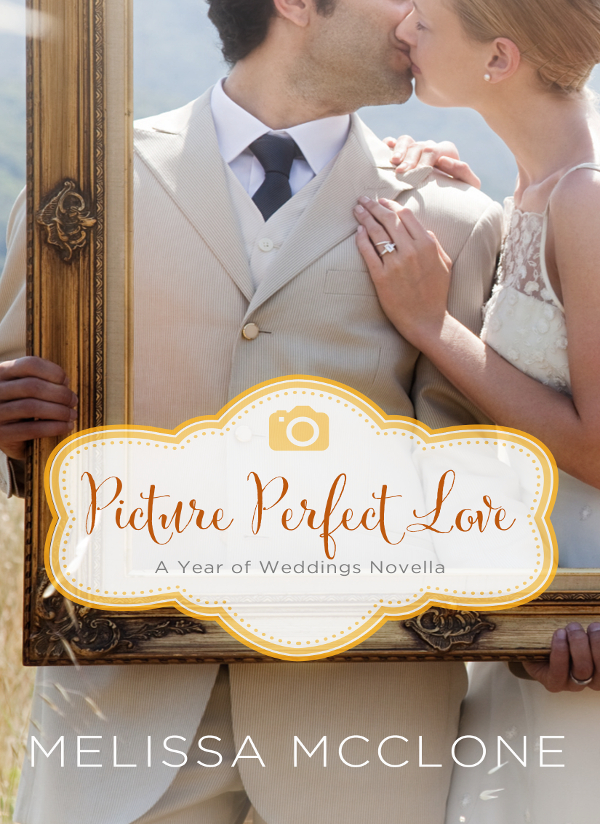 Picture Perfect Love Melissa Mcclone