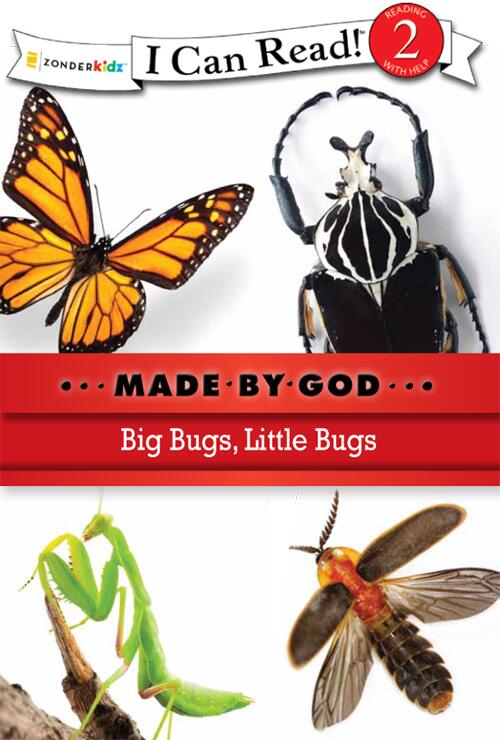 Big Bugs Little Bugs Zonderkidz Zonderkidz