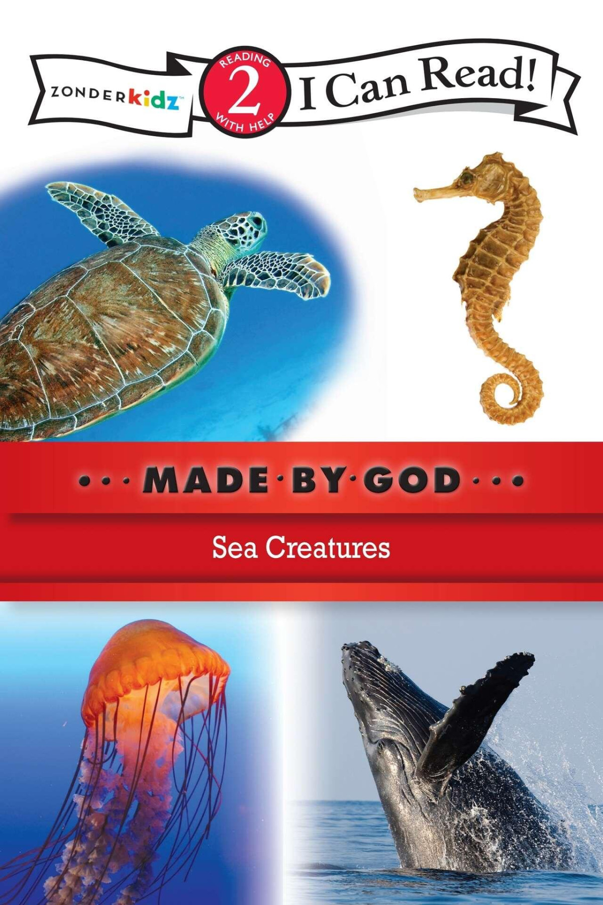 Sea Creatures Zonderkidz Zonderkidz