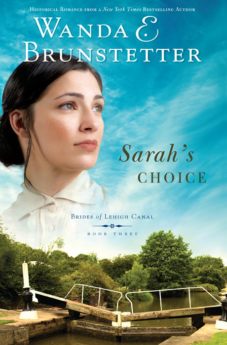 Sarahs Choice Wanda E Brunstetter Brunstetter Wanda E