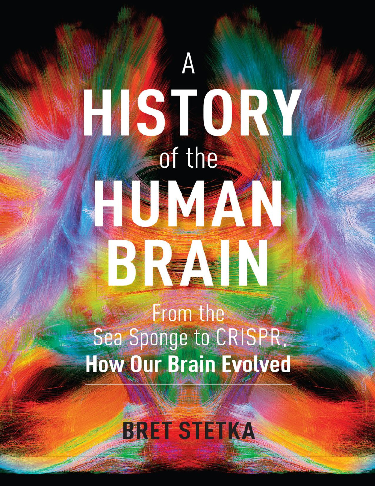 A History Of The Human Brain Bret Stetka Bret Stetka