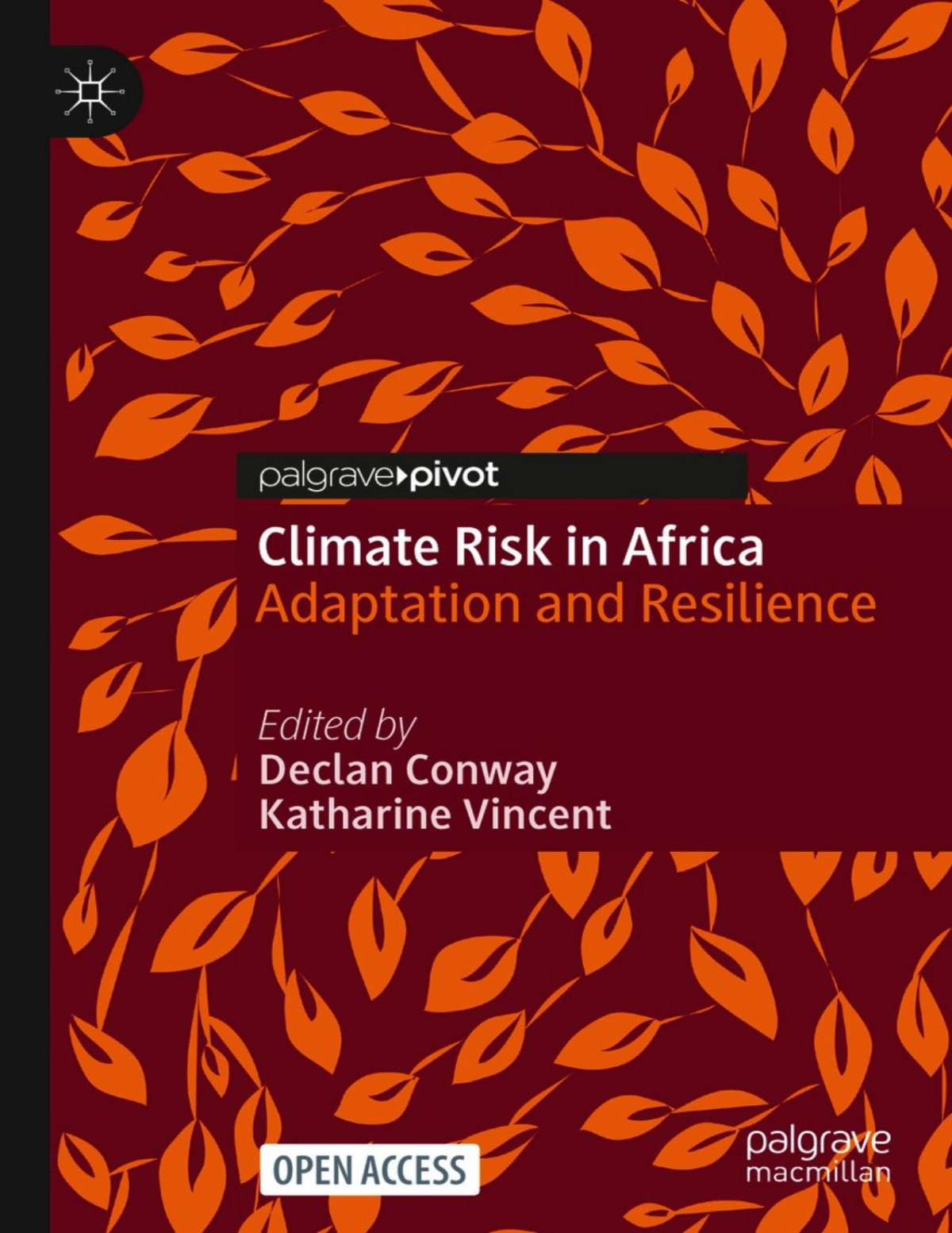 Climate Risk In Africa Adaptation And Resilience Declan Conway