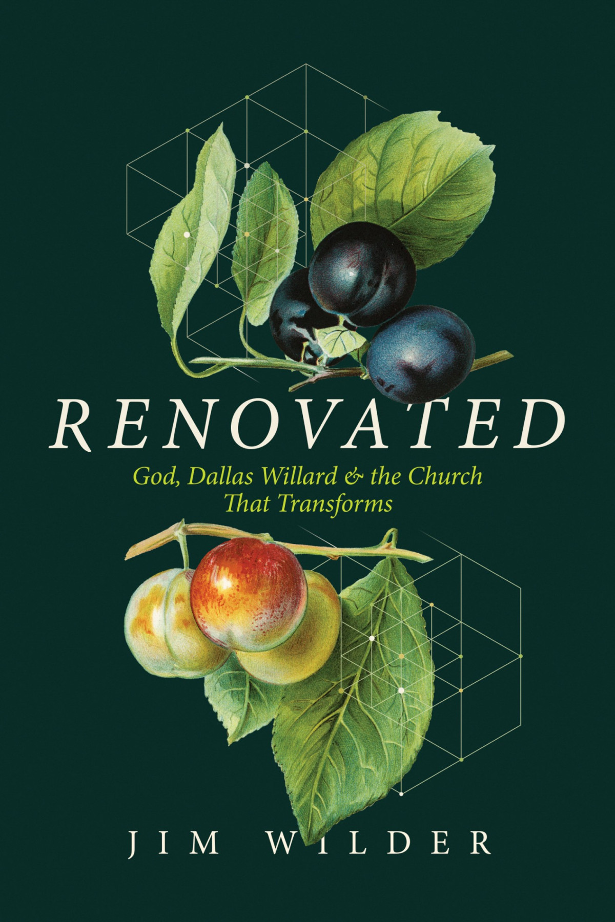 Renovated Jim Wilder Wilder Jim