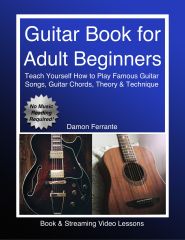 Guitar Book For Adult Beginners Teach Yourself How To Play Famous Guitar Songs Guitar Chords Music Theory Technique Book Streaming Video Lessons Damon Ferrante Ferrante