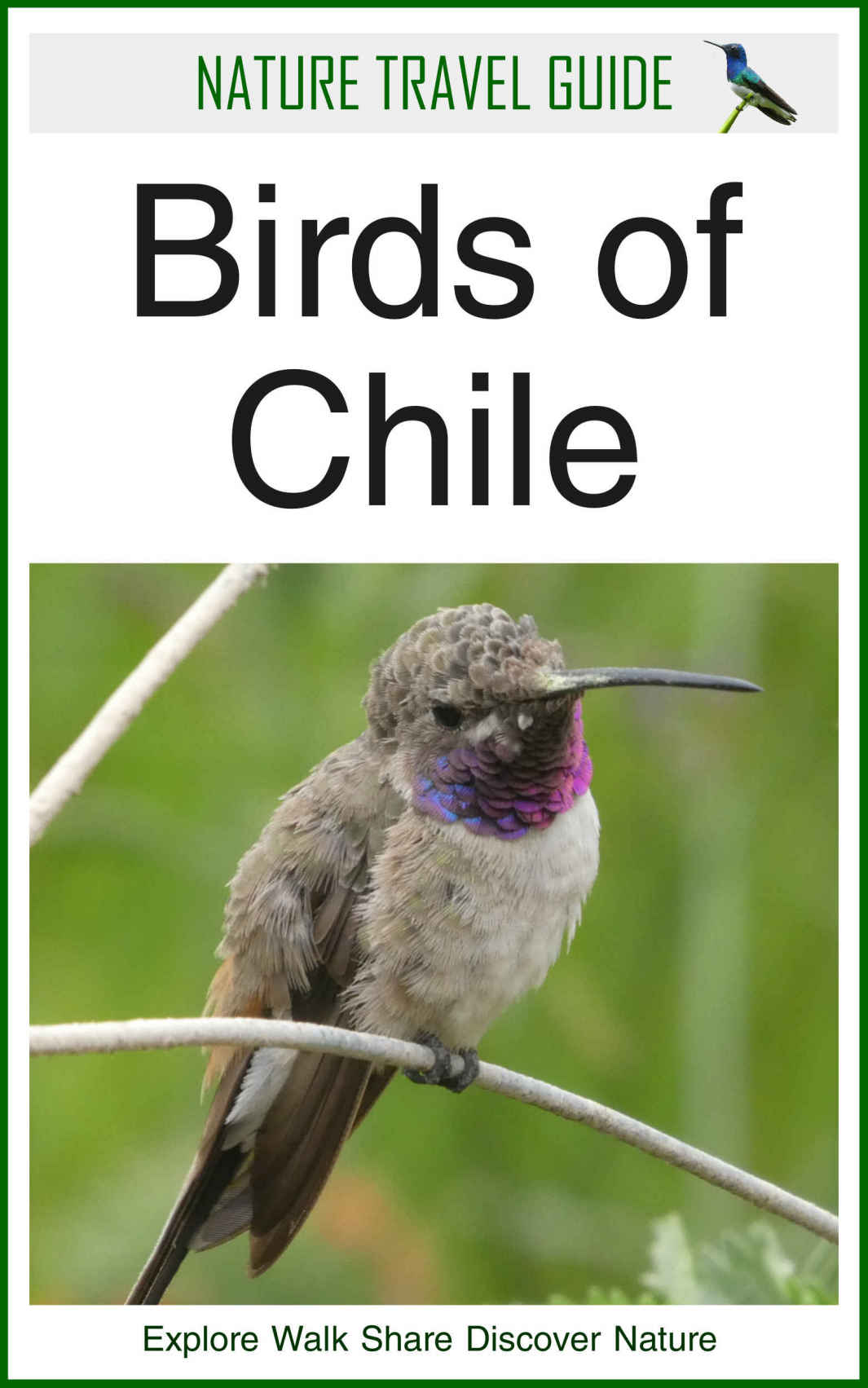 Nature Travel Guide Birds Of Chile Duncan James