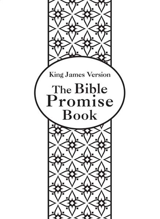 Bible Promise Book Gift Edition Kjv Staff Compiled By Barbour Version