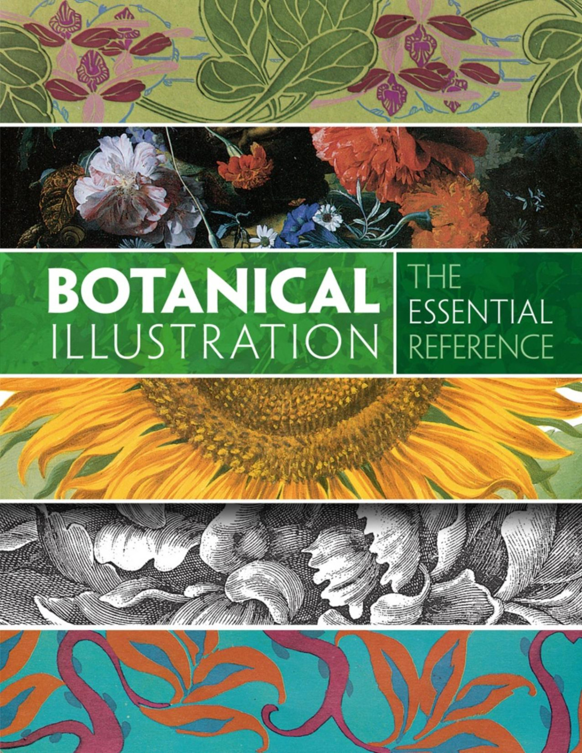 Botanical Illustration The Essential Reference Carol Belanger Grafton