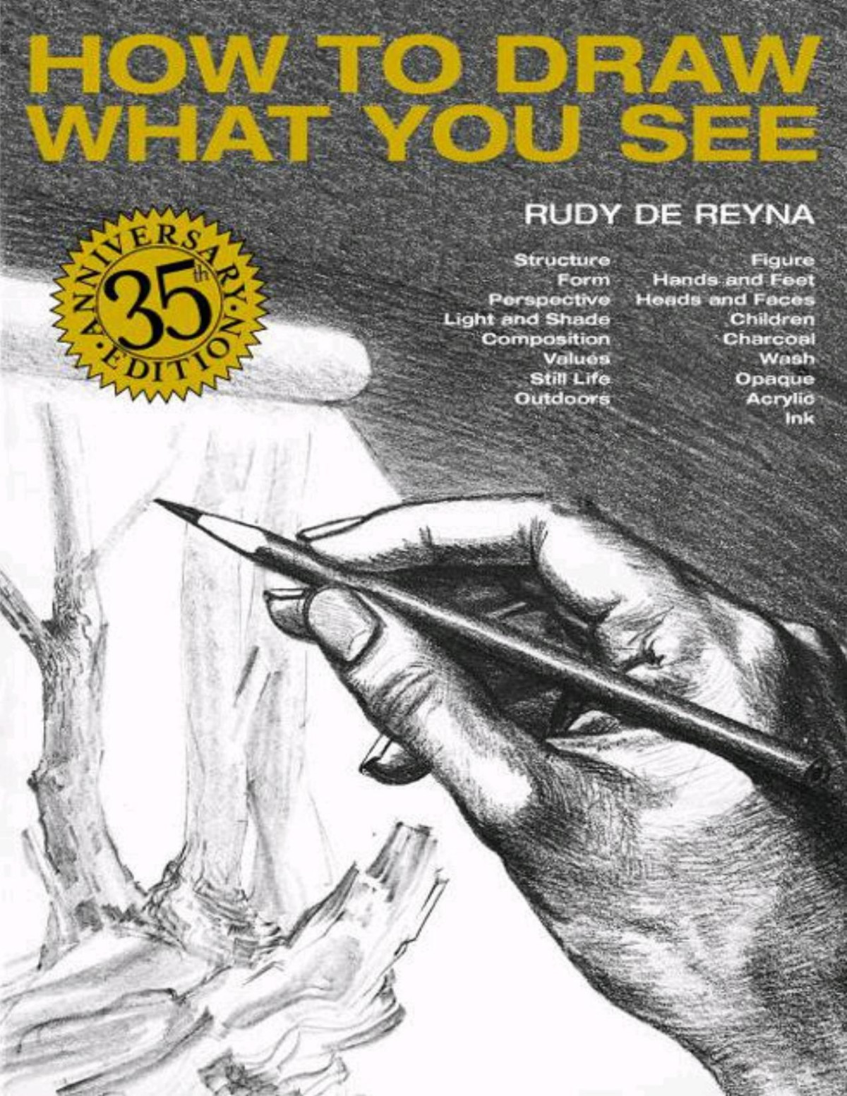 How To Draw What You See Rudy De Reyna