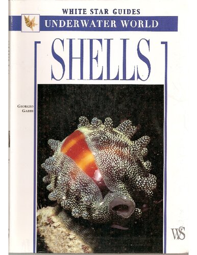 Shells White Star Guides Underwater World Giorgio Gabbi