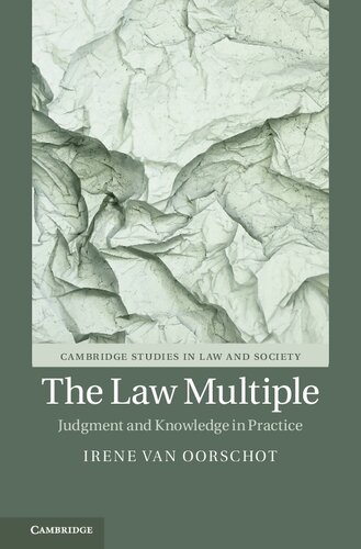 The Law Multiple Judgment And Knowledge In Practice Irene Van Oorschot