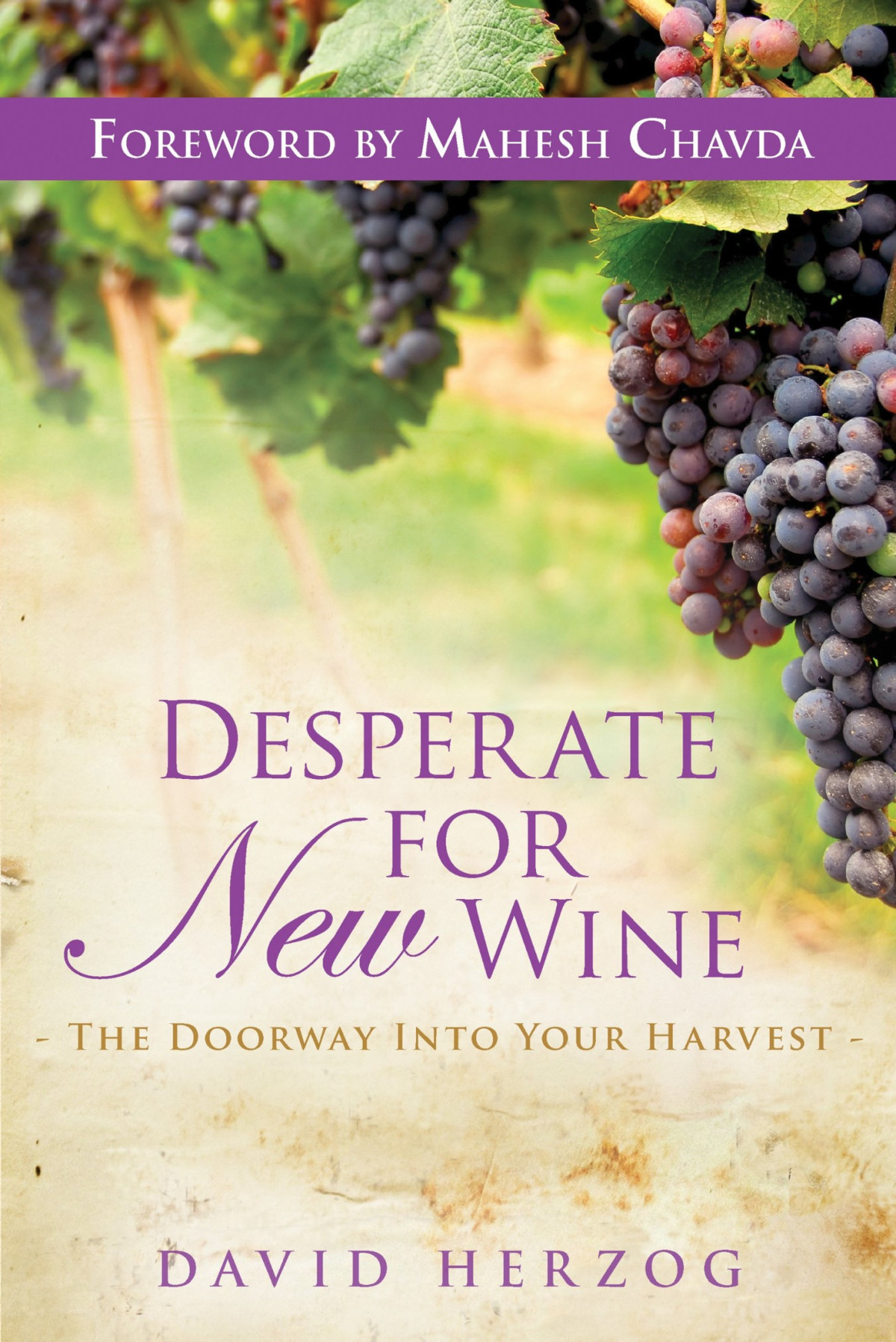 Desperate For New Wine The Doorway Into Your Harvest David Herzog Herzog