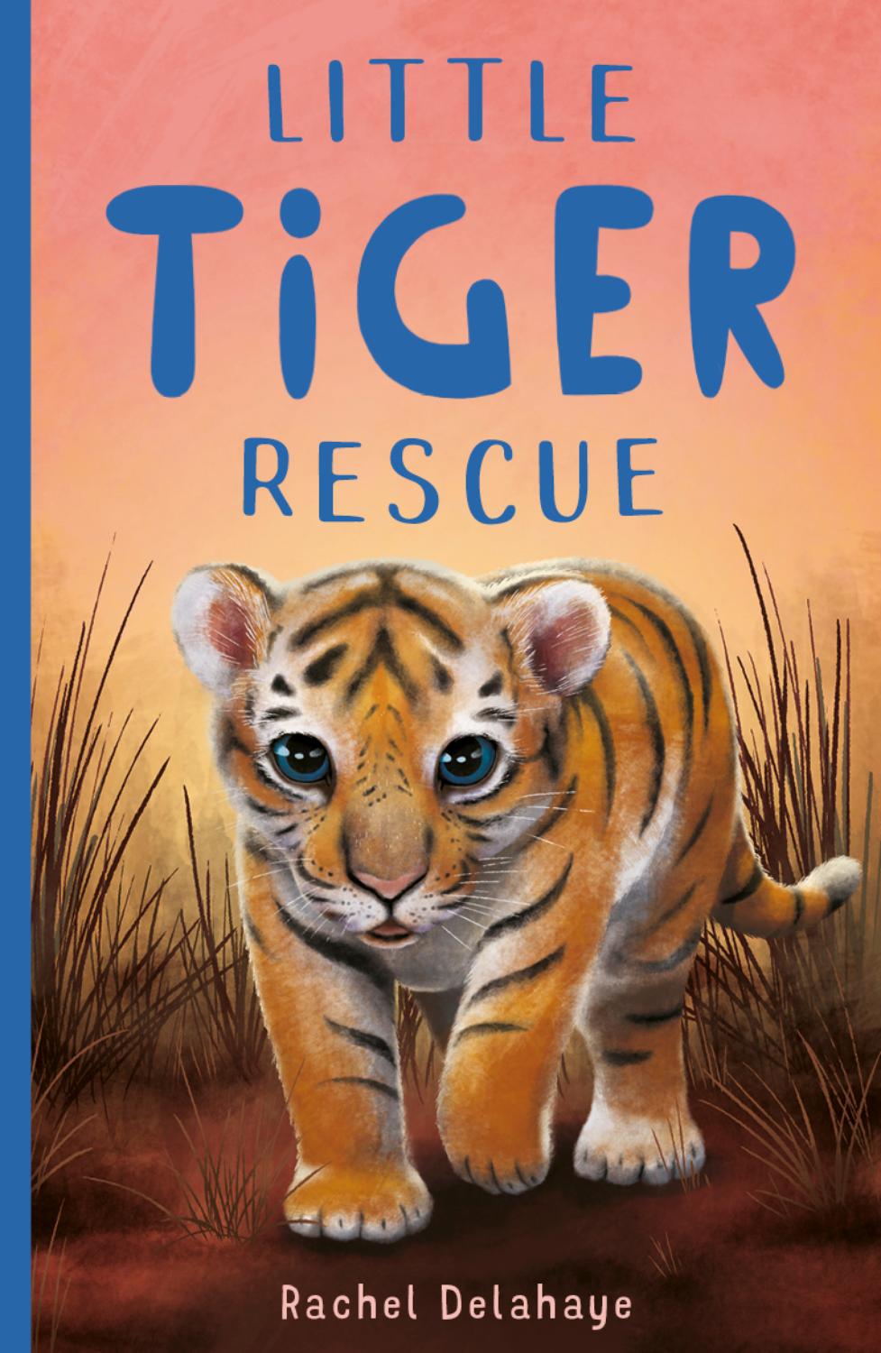 Little Tiger Rescue Rachel Delahaye