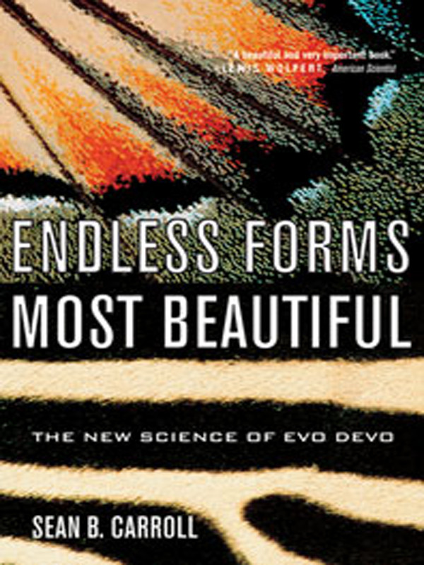 Endless Forms Most Beautiful Sean B Carroll