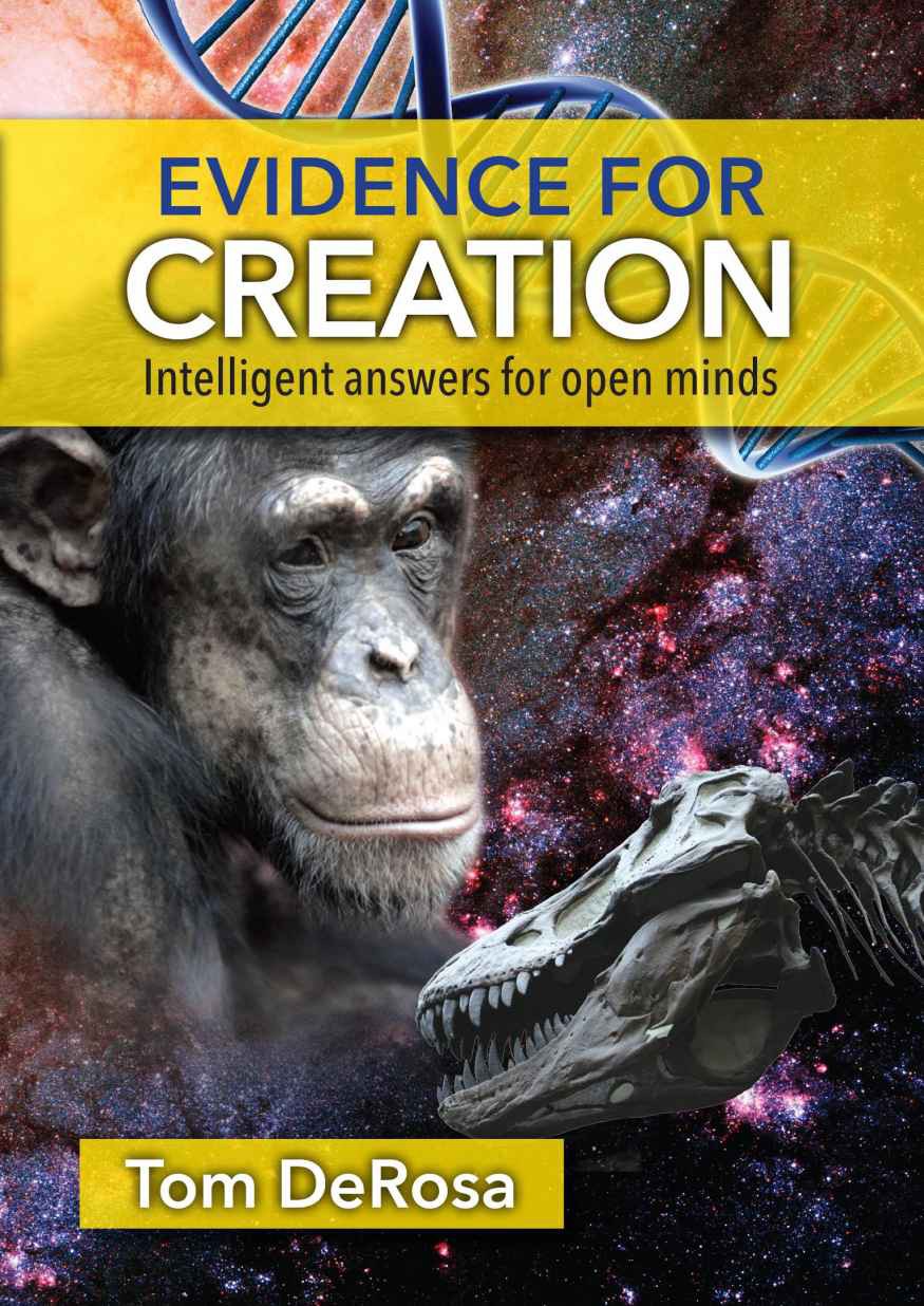 Evidence For Creation Intelligent Answers For Open Minds Tom Derosa Derosa