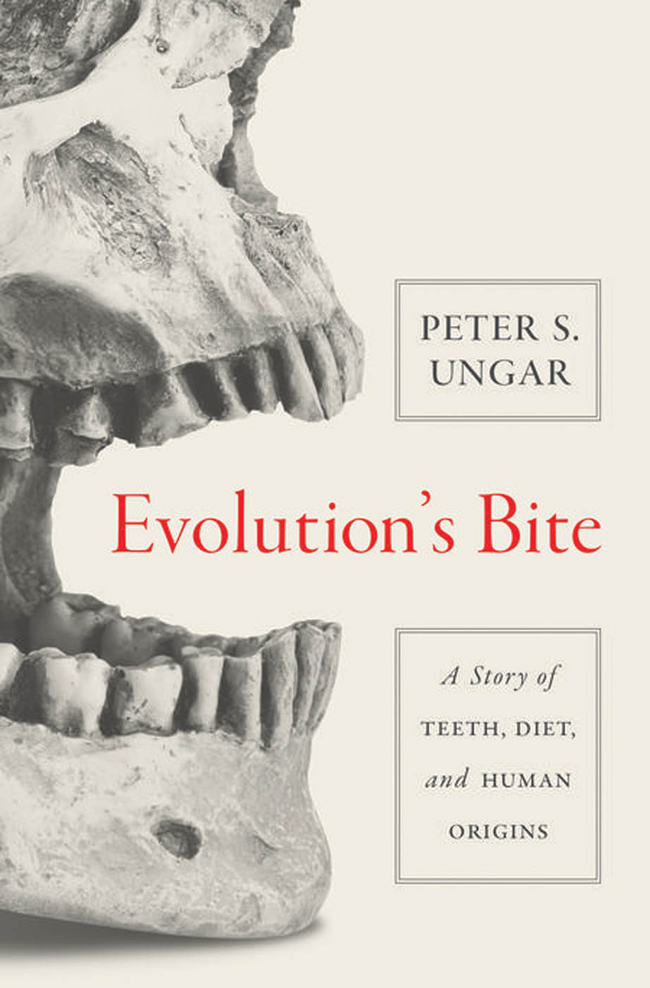 Evolutions Bite A Story Of Teeth Diet And Human Origins Peter S Ungar Ungar