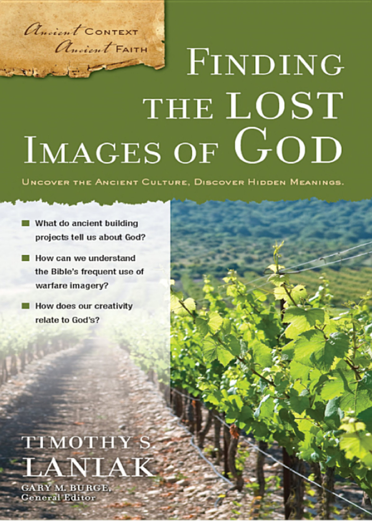 Finding The Lost Images Of God Acaf Gary M Burge Timothy S Laniak Burge