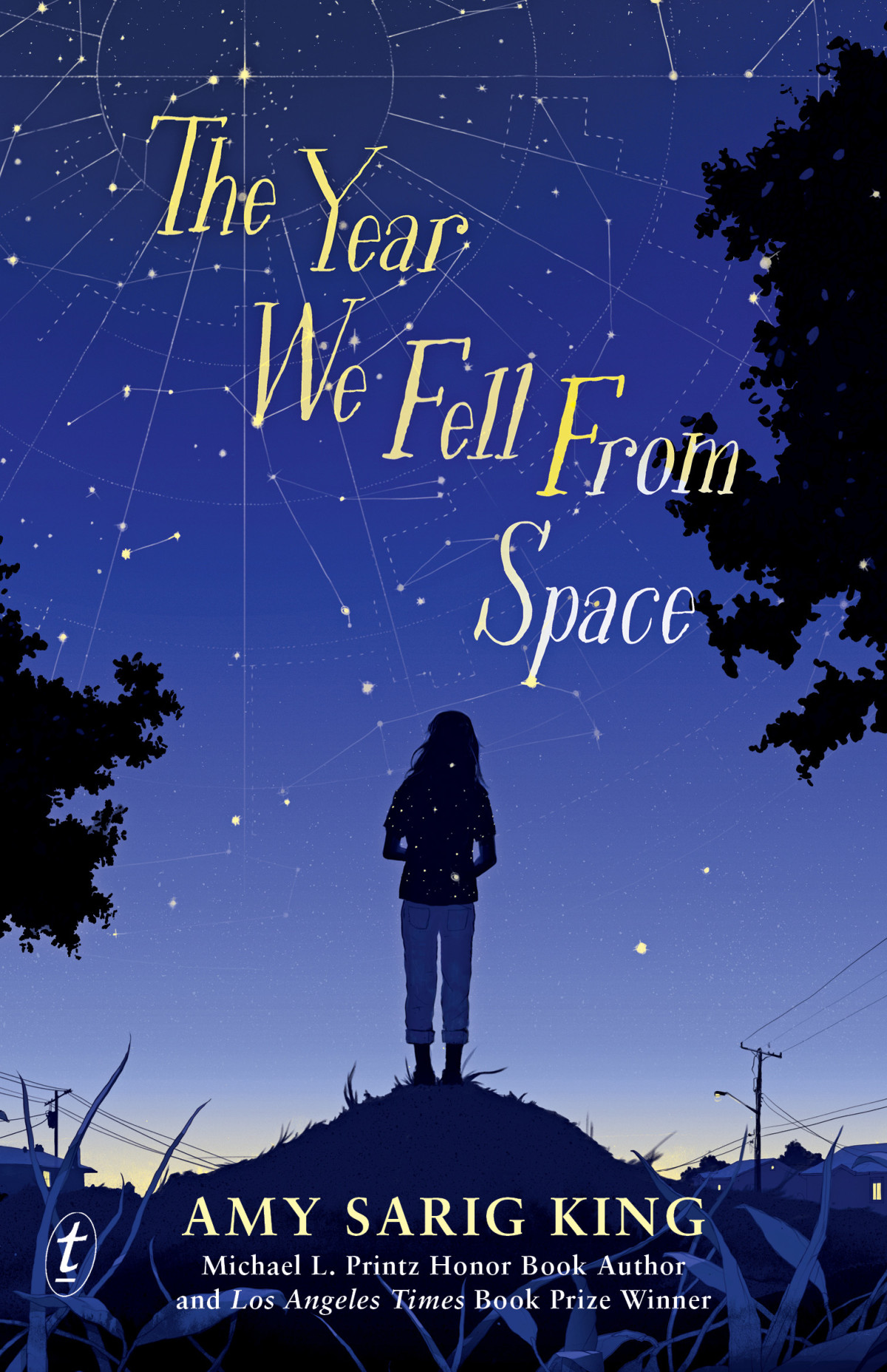 The Year We Fell From Space Amy Sarig King King Amy Sarig