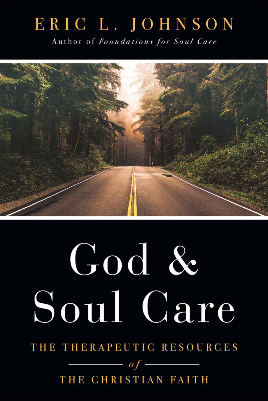 God And Soul Care The Therapeutic Resources Of The Christian Faith Eric L Johnson Johnson