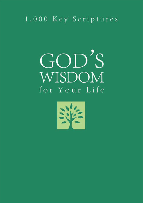 Gods Wisdom For Your Life Pamela L Mcquade