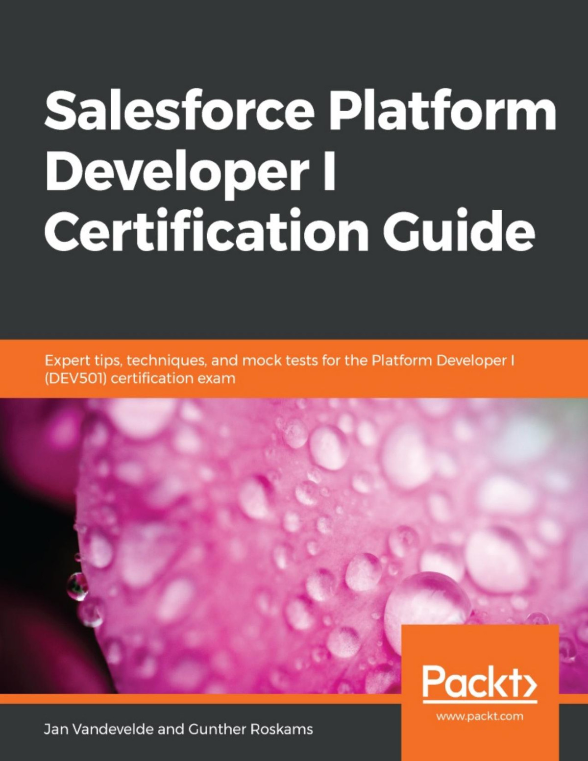 Salesforce Platform Developer I Certification Guide Jan Vandevelde Jan Vandevelde