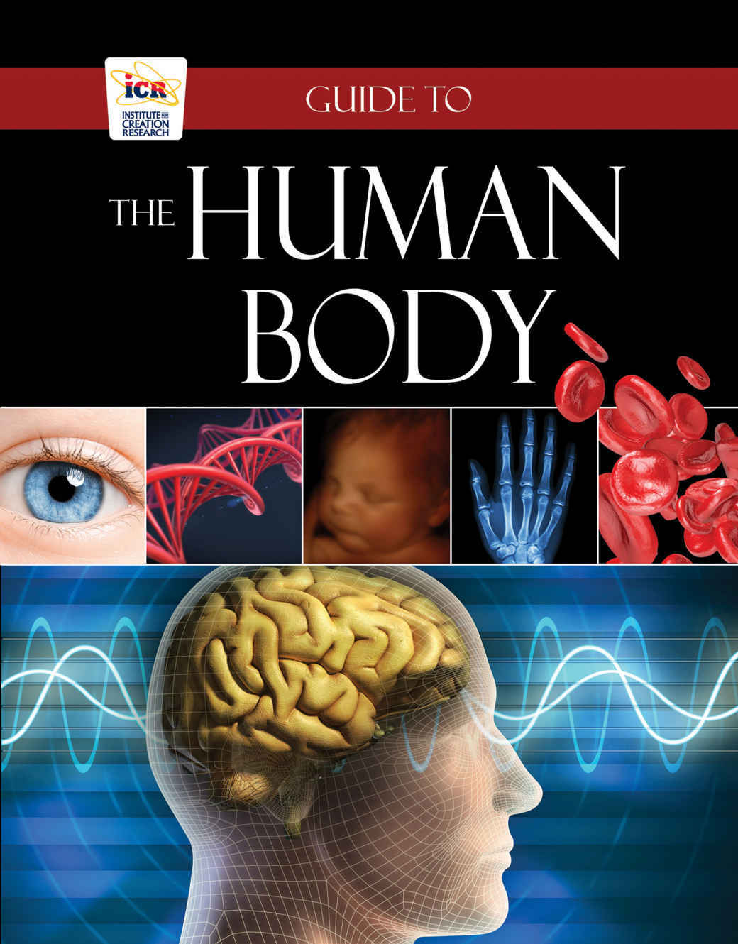 Guide To The Human Body Randy Guliuzza Brian Thomas Guliuzza