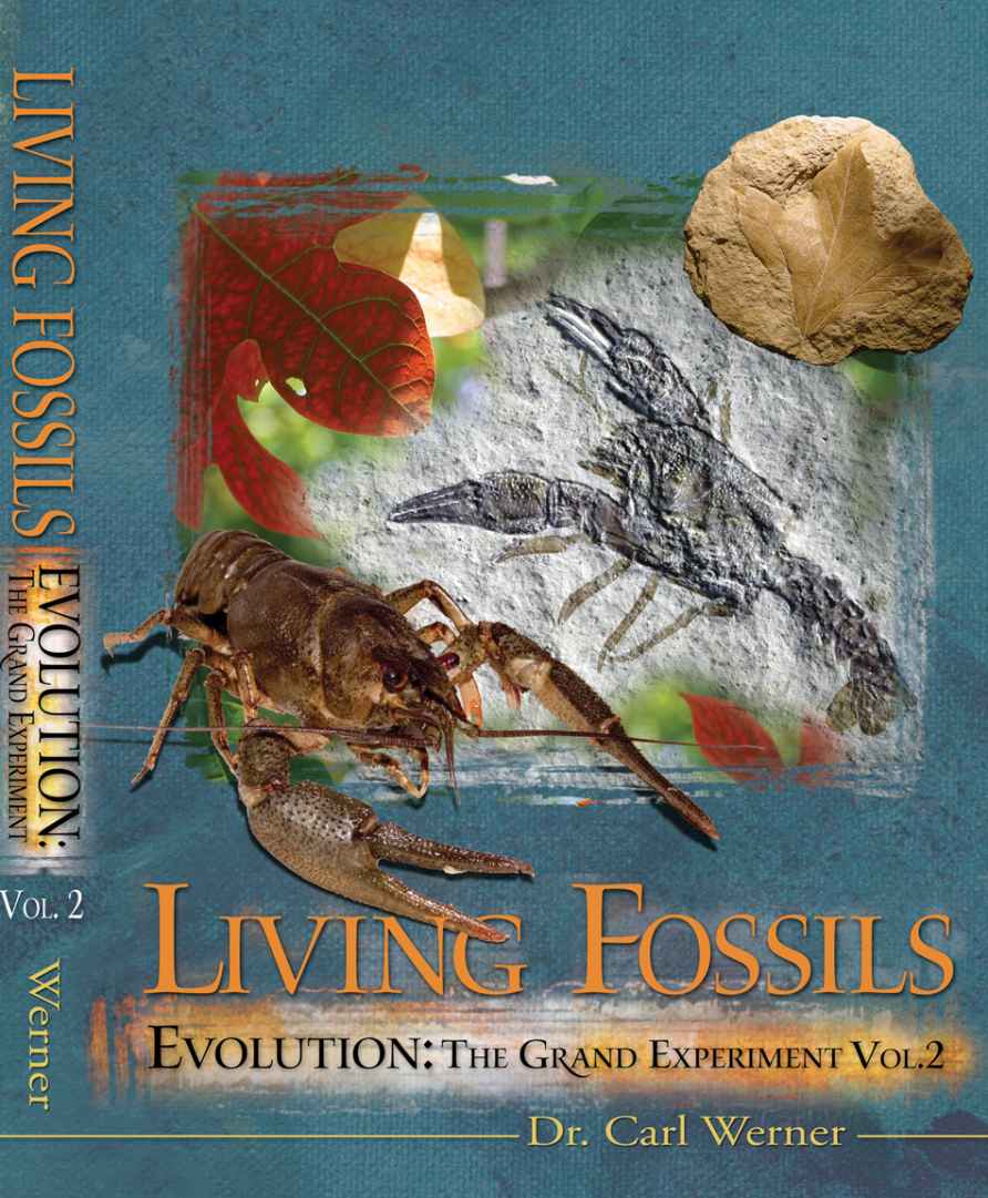 Living Fossils Evolution The Grand Experiment Vol 2 2nd Edition Carl Werner Alon Prunty Laura Welch Carla Azzara Adriana Naylor Debbie Werner Werner