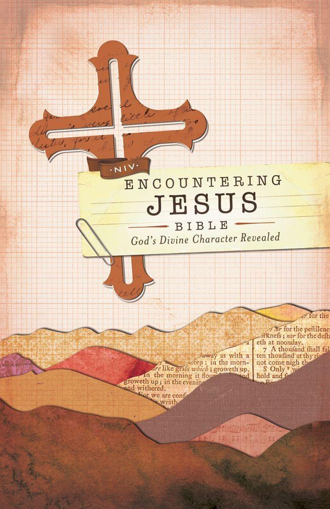 Niv Encountering Jesus Bible Jesus Revealed Throughout The Bible Francis Chan Chan
