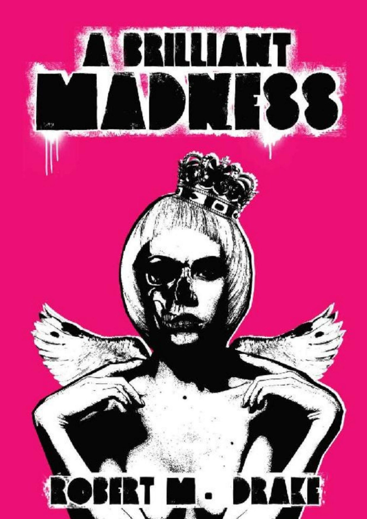 A Brilliant Madness 1st Edition Robert M Drake