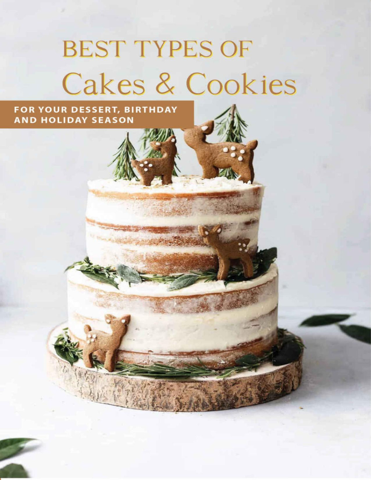 Best Types Of Cakes Cookies For Your Dessert Birthday And Holiday Season Simple Steps To Bake A Cake Clayton Pushcar Pushcar