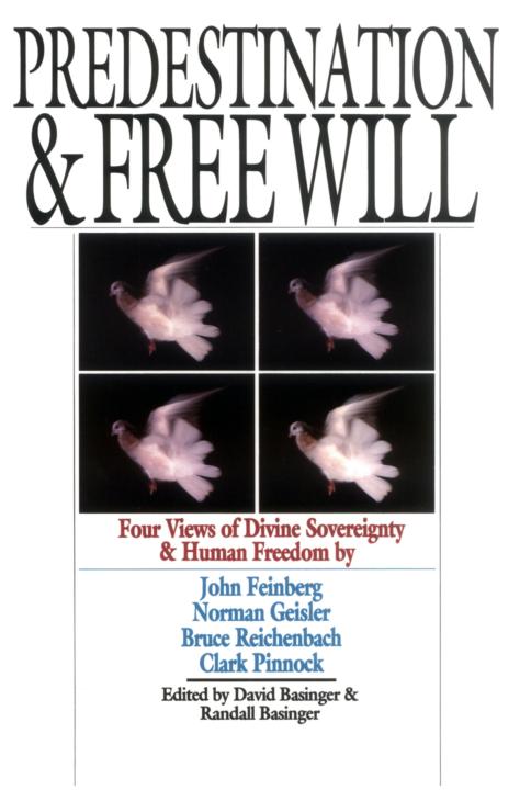 Predestination Free Will David Basinger