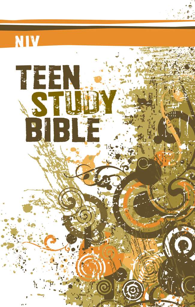 Teen Study Bible Niv Zondervan Lawrence O Richards Sue W Richards Zondervan Richards