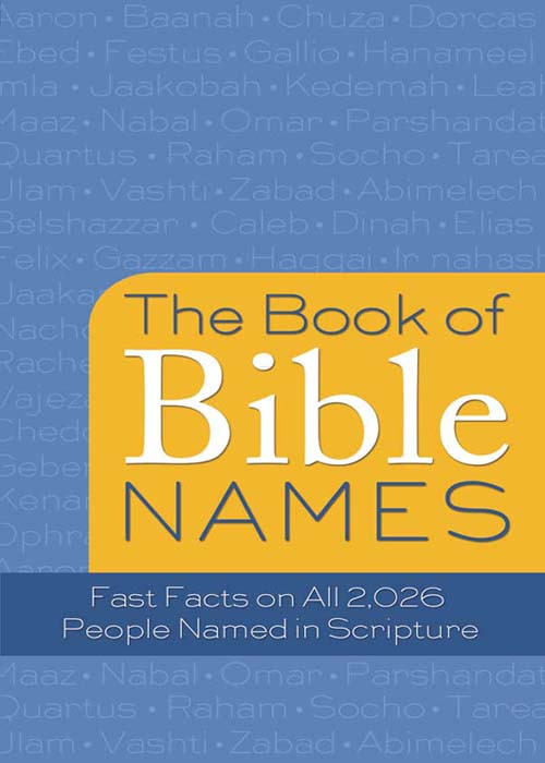 Book Of Bible Names Mcquade Pamela L L Mcquade Pamela