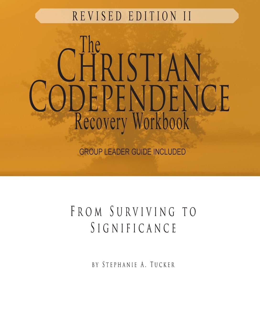 The Christian Codependence Recovery Workbook Stephanie Tucker