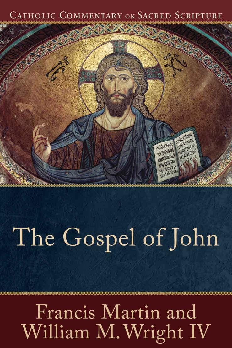 The Gospel Of John Catholic Commentary On Sacred Scripture Francis Martin William M Iv Wright Martin