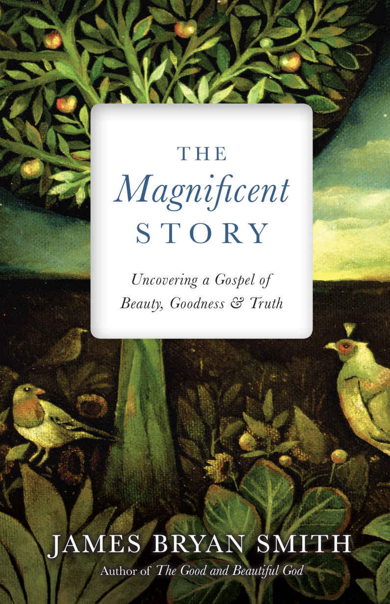 The Magnificent Story Uncovering A Gospel Of Beauty Goodness And Truth Apprentice Resources James Bryan Smith Smith