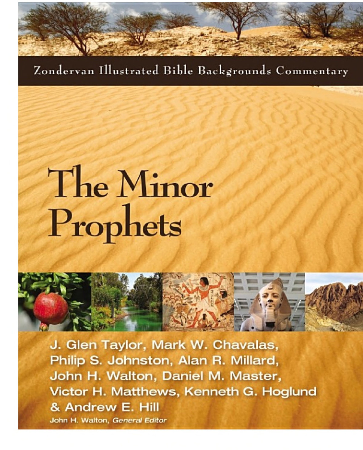 The Minor Prophets Zibbc J Glen Taylor Mark W Chavalas Philip S Johnston Alan R Millard John H Walton Daniel M Master Victor H Matthews Kenneth Hoglund Andrew E Hill Taylor