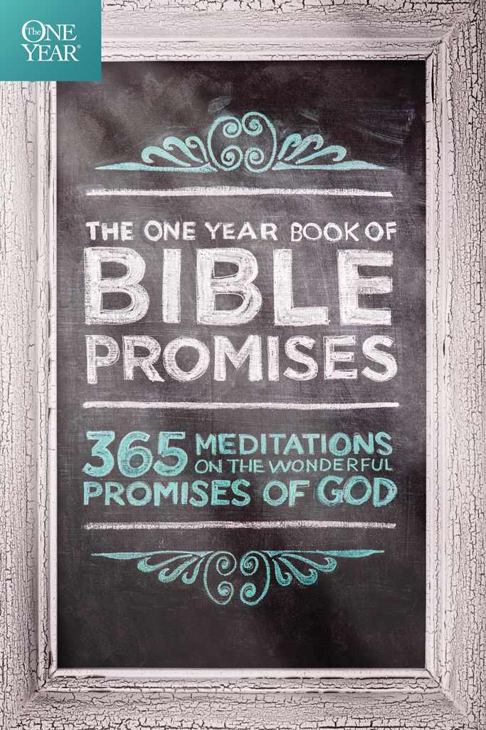 The One Year Book Of Bible Promises 365 Meditations On The Wonderful Promises Of God James Stuart Bell Bell