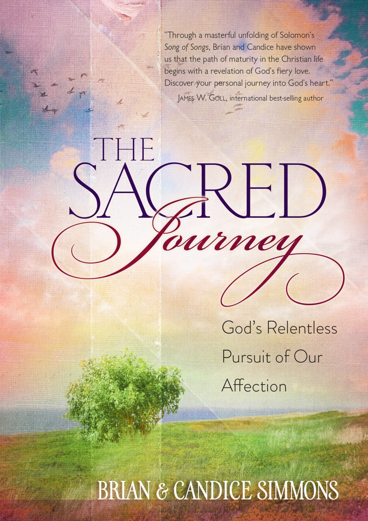 The Sacred Journey Gods Relentless Pursuit Of Our Affection The Passion Translation Brian Simmons Simmons
