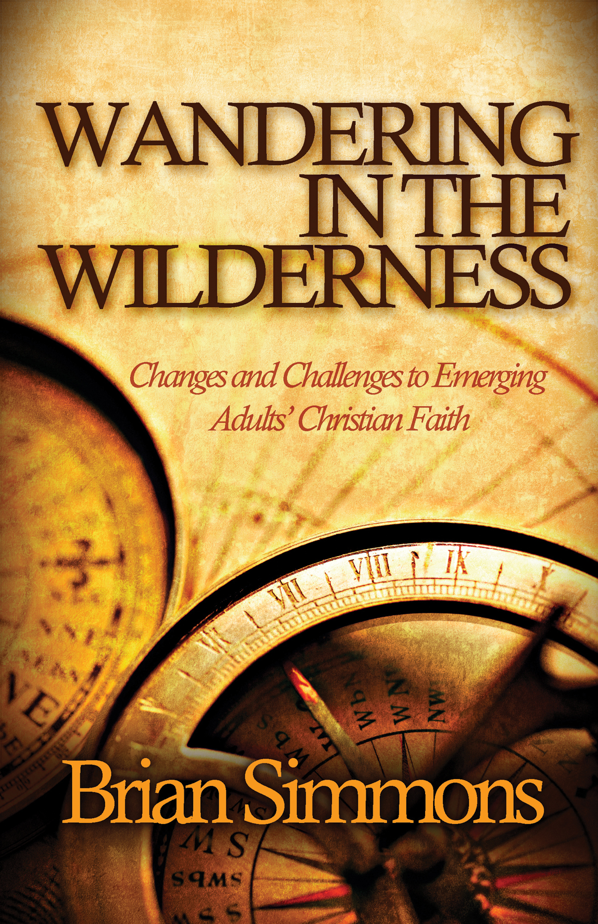 Wandering In The Wilderness Changes And Challenges To Emerging Adults Christian Faith Brian Simmons Simmons