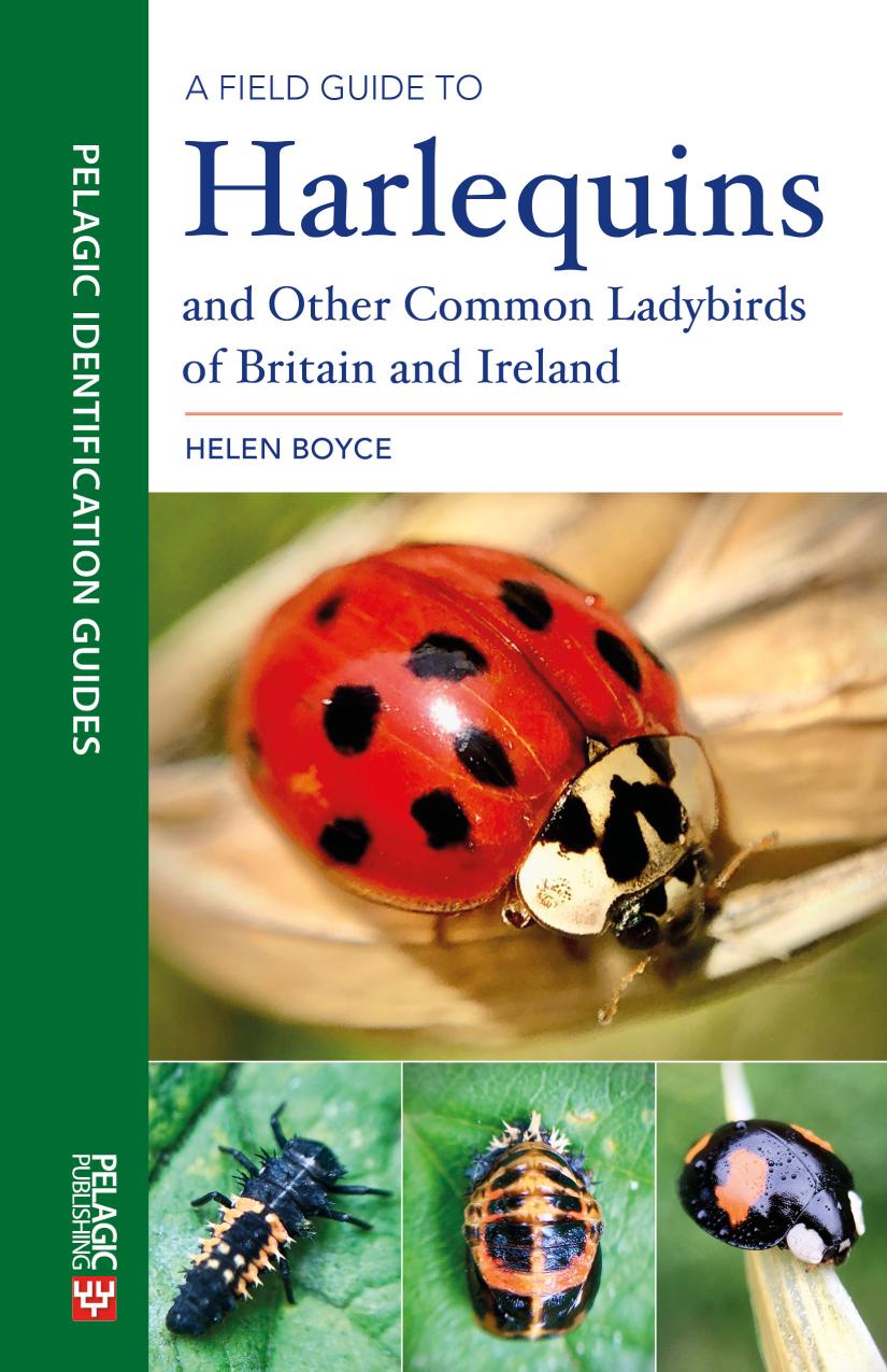 A Field Guide To Harlequins And Other Common Ladybirds Of Britain And Ireland Helen Boyce