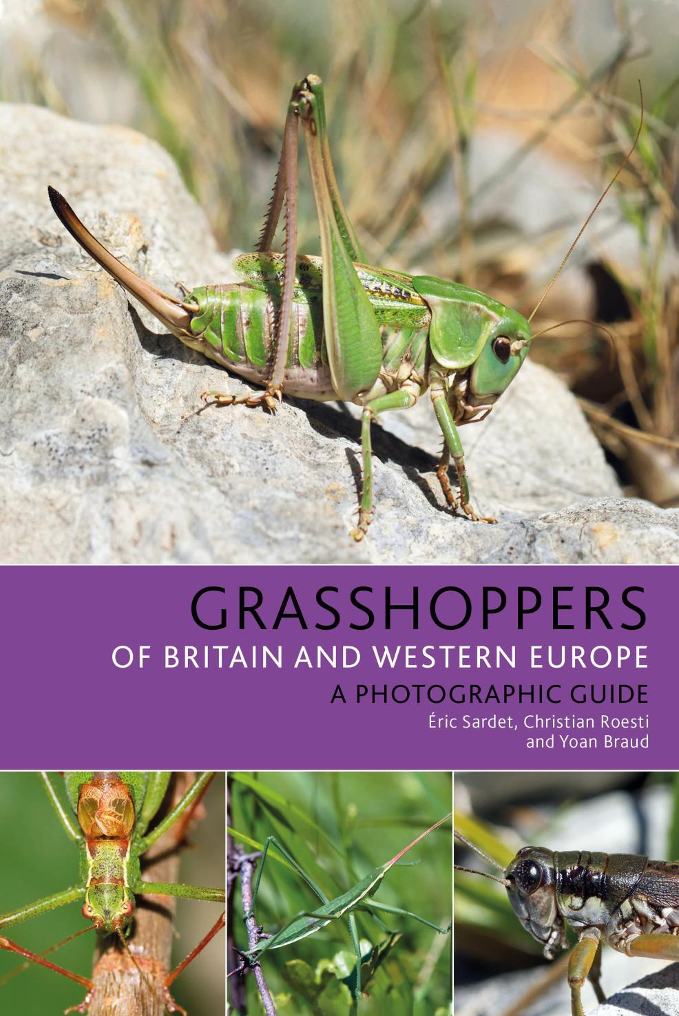 Grasshoppers Of Britain And Western Europe A Photographic Guide Illustrated Ric Sardet