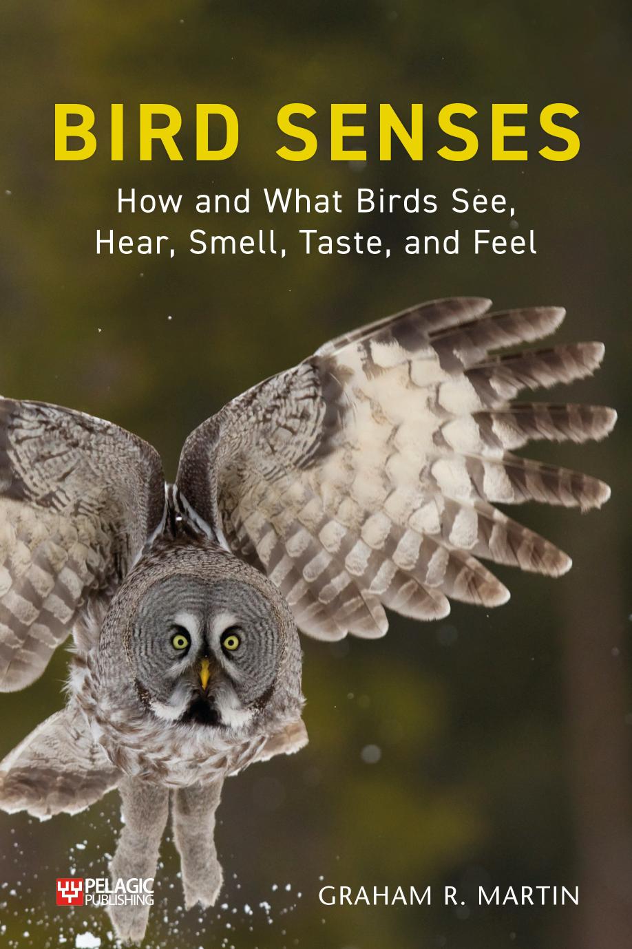 Bird Senses How And What Birds See Hear Smell Taste And Feel Illustrated Graham Martin