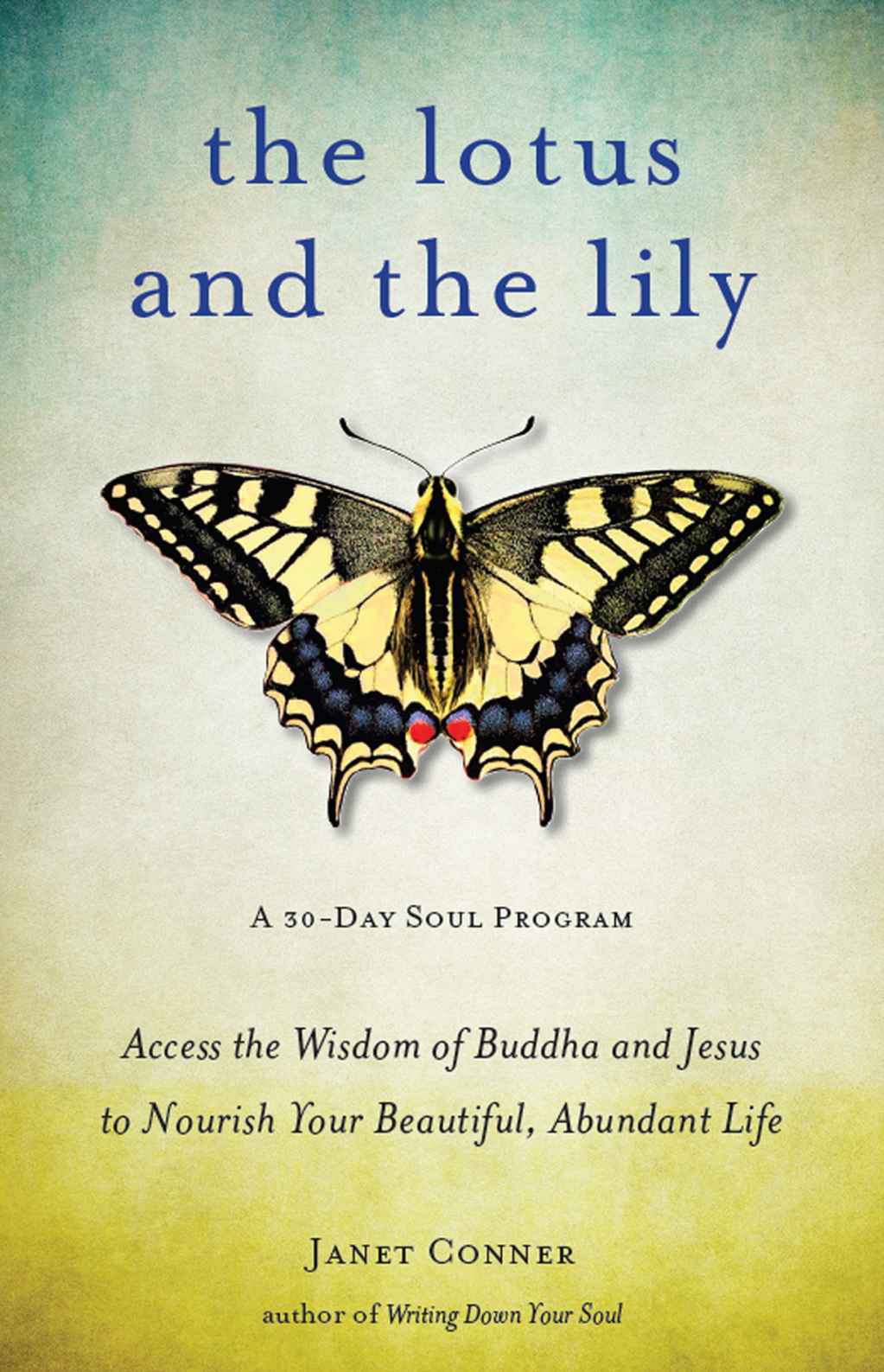 The Lotus And The Lily Access The Wisdom Of Buddha And Jesus To Nourish Your Beautiful Abundant Life Conner
