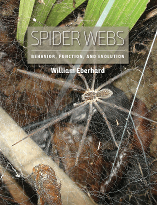 Spider Webs Behavior Function And Evolution William Eberhard
