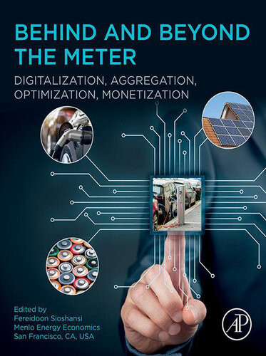 Behind And Beyond The Meter Digitalization Aggregation Optimization Monetization Fereidoon Sioshansi