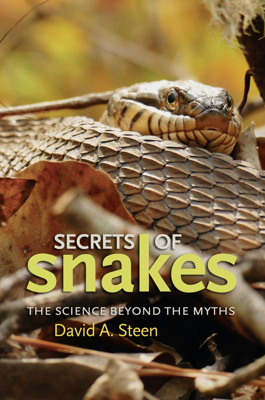 Secrets Of Snakes The Science Beyond The Myths David A Steen