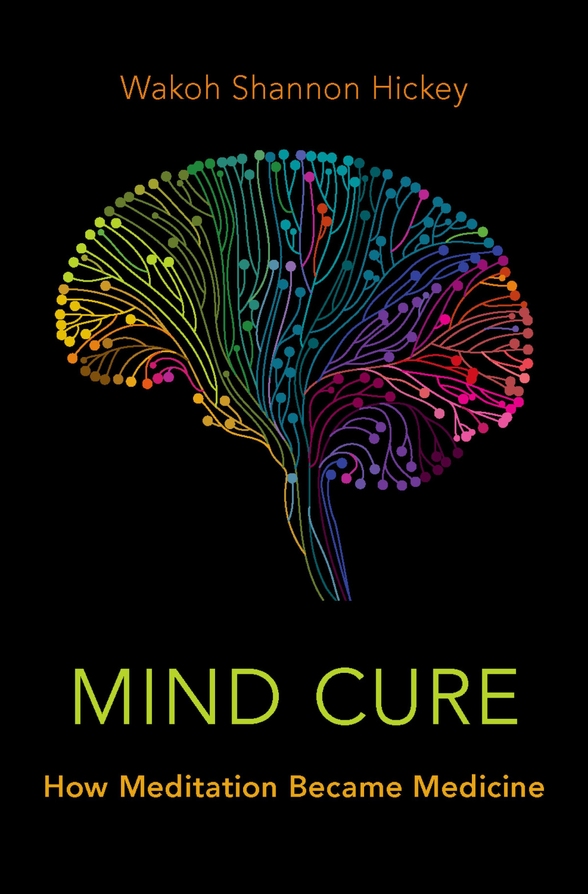 Mind Cure How Meditation Became Medicine Wakoh Shannon Hickey