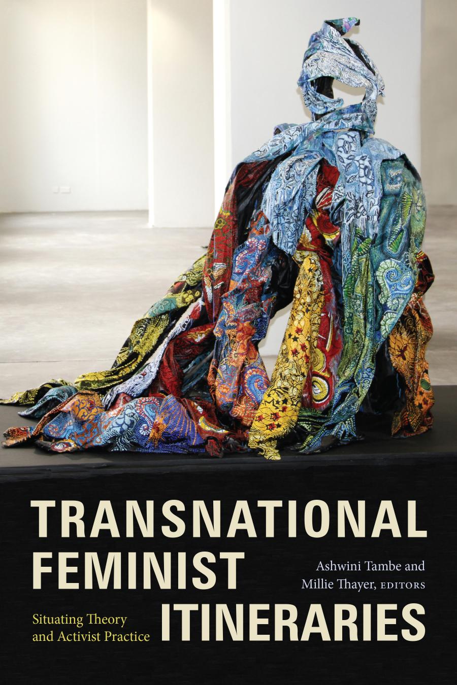 Transnational Feminist Itineraries Situating Theory And Activist Practice 1st Edition Ashwini Tambe Editor