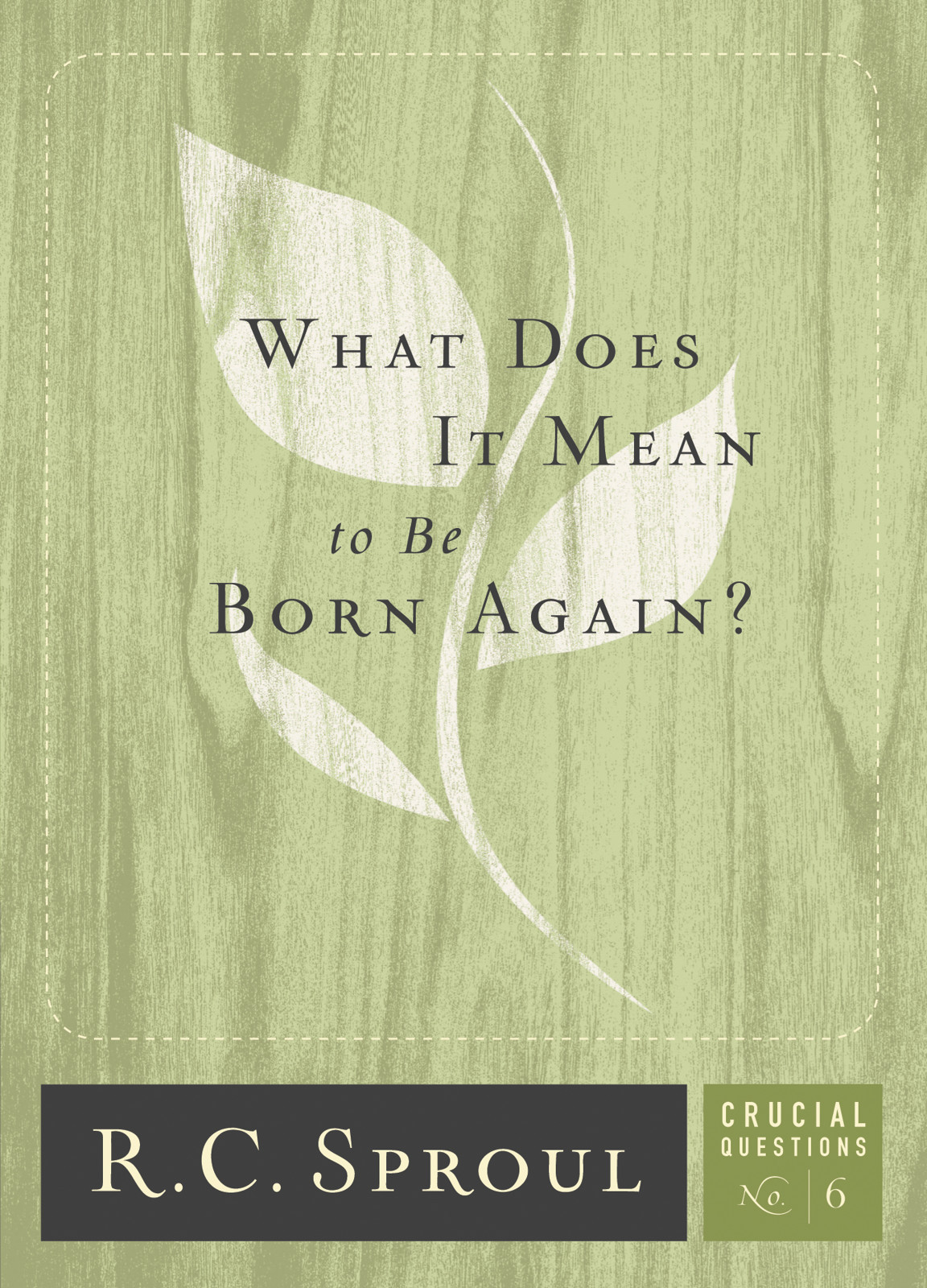 What Does It Mean To Be Born Again R C Sproul Greg Bailey Sproul