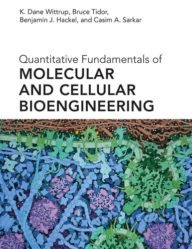 Quantitative Fundamentals Of Molecular And Cellular Bioengineering K Dane Wittrup